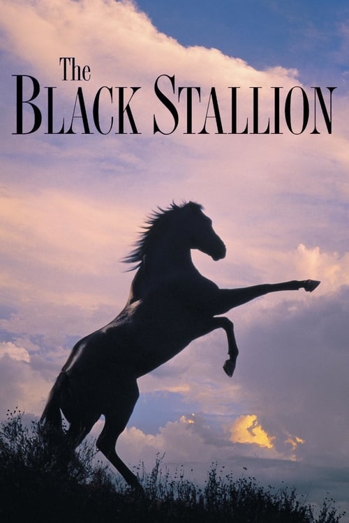 دانلود فیلم The Black Stallion – اسب سیاه