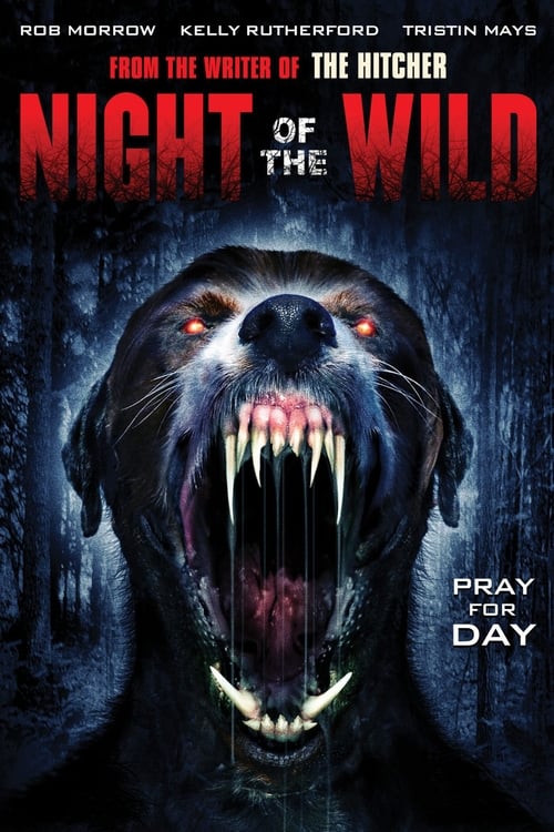 دانلود فیلم Night of the Wild – شب وحشی