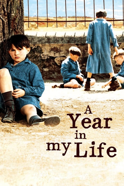 دانلود فیلم A Year in My Life – یک سال زندگی من